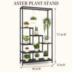 Aster indoor plant stand dimension guide showing 40 inch width, 12 inch depth, and 71 inch height