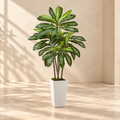 Dracaena 5 ft faux tree with striped green leaves and a tall white planter in a warm cream interior
