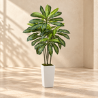 Dracaena 5 ft faux tree with striped green leaves and a tall white planter in a warm cream interior