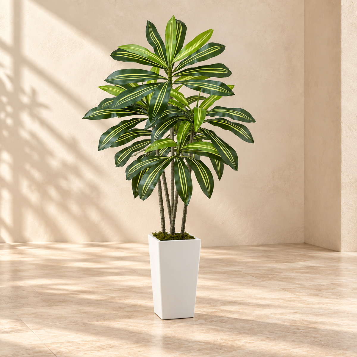 Dracaena 5 ft faux tree with striped green leaves and a tall white planter in a warm cream interior