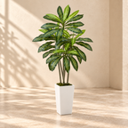 Alternate view of the Dracaena faux tree and tapered white planter