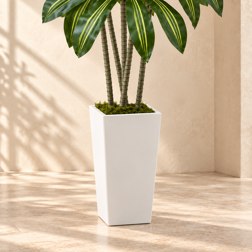Dracaena white tapered planter with faux moss and textured lower trunks