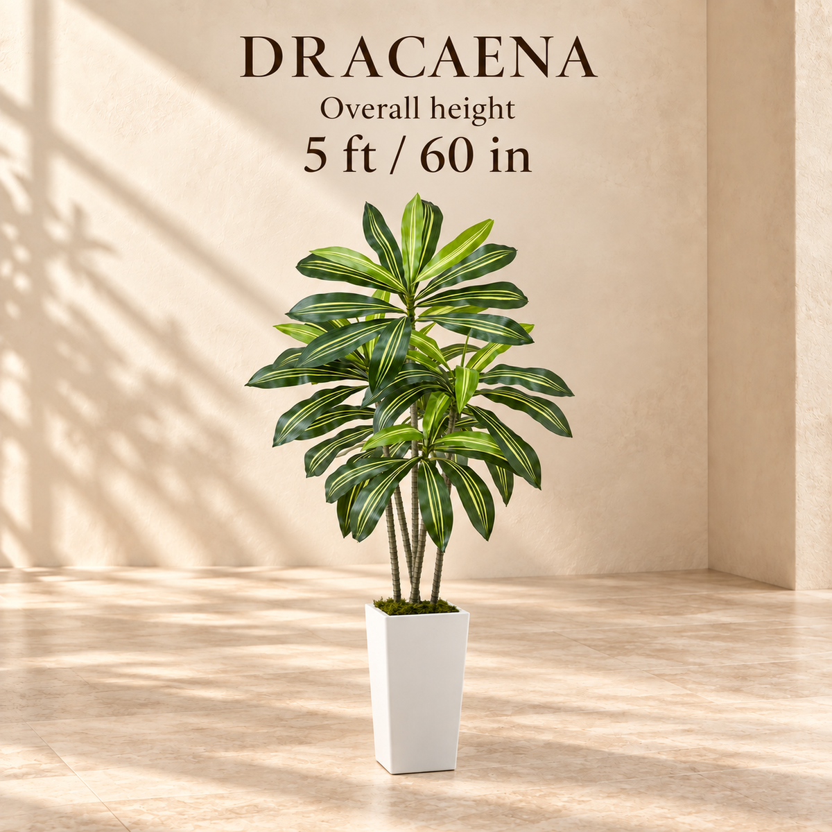 Dracaena faux tree dimensions: overall height 5 feet or 60 inches